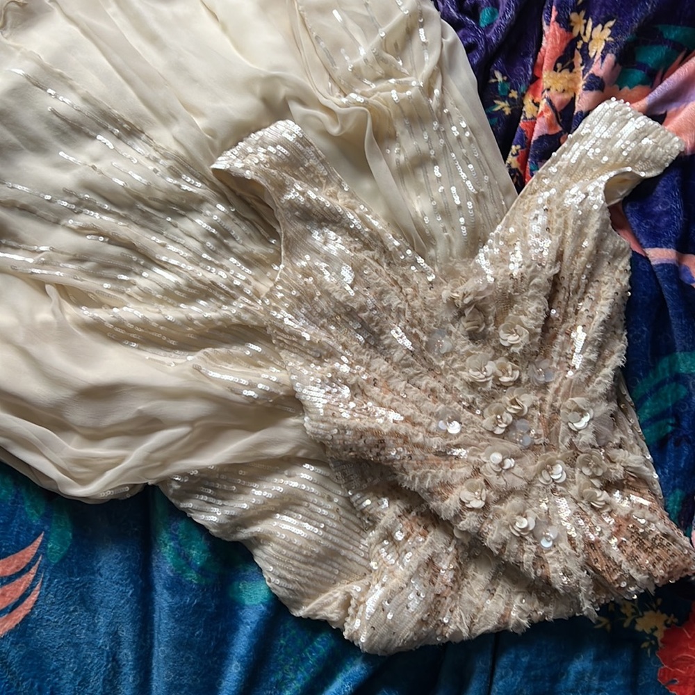 Alberto Makali vintage gown